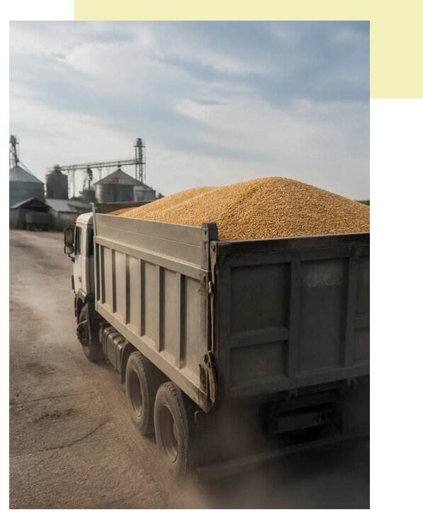 Перевозка сельхозпродукции навалом в Феодосию по цене от 3047 р. | Агросервис-Фдс